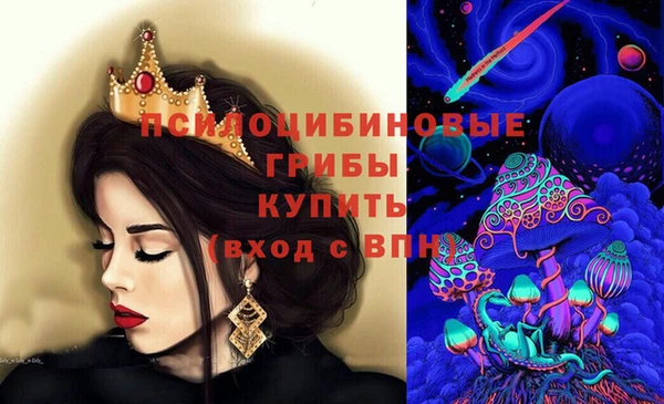мяу мяу мука Баксан