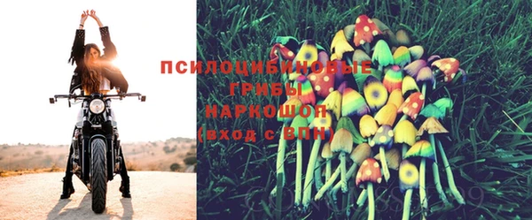 мяу мяу мука Баксан