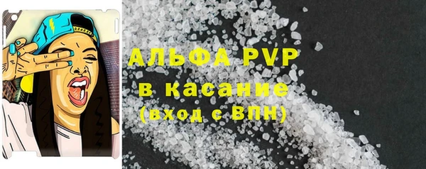 мяу мяу мука Баксан