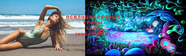 мяу мяу мука Баксан