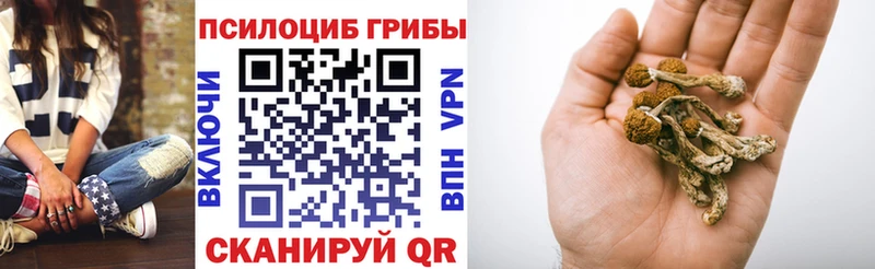 это формула  Борисоглебск  Галлюциногенные грибы Cubensis 